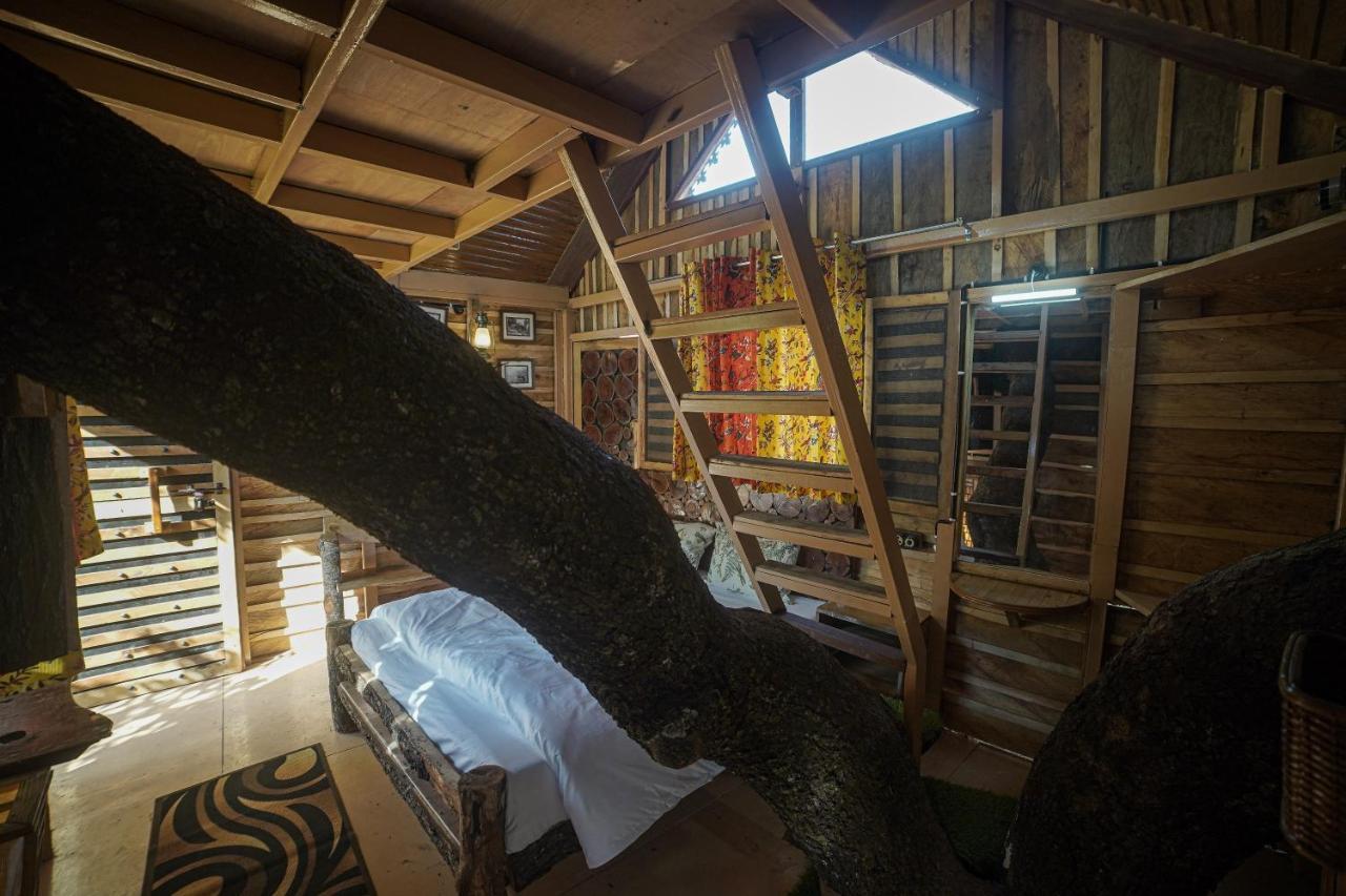 Tiger Fall Eco Resort Chakrata Εξωτερικό φωτογραφία