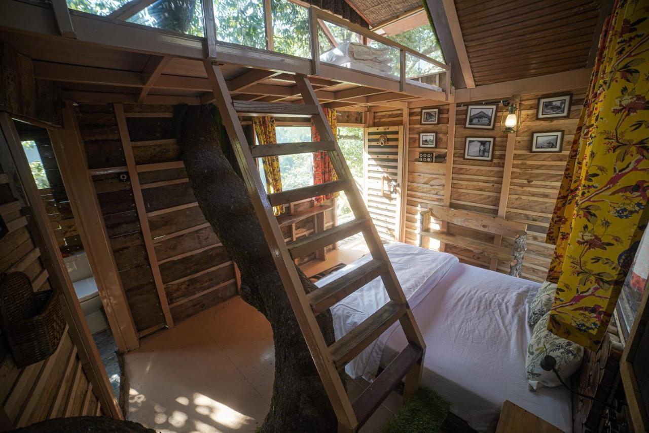 Tiger Fall Eco Resort Chakrata Εξωτερικό φωτογραφία