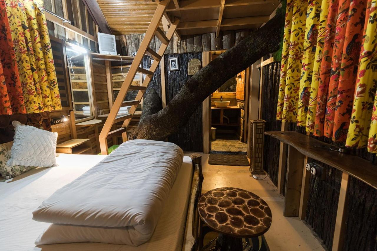 Tiger Fall Eco Resort Chakrata Εξωτερικό φωτογραφία
